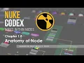 Nuke Codex Anatomy of the Node