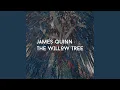 Download Lagu The Willow Tree