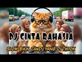 Lagu DJ ❤️CINTA RAHASIA SLOW CANDU YANG DI TIKTOK BY YANZ TUBE 