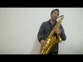 Download Lagu Elvis Presley, Michael Bublè - Always on my mind (Saxophone Cover by Vincenzo Abbruzzi)