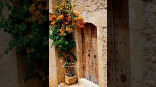 لا تحزن الشيخ محمد مختار الشنقيطي  لا تحزن الشيخ محمد مختار الشنقيطي