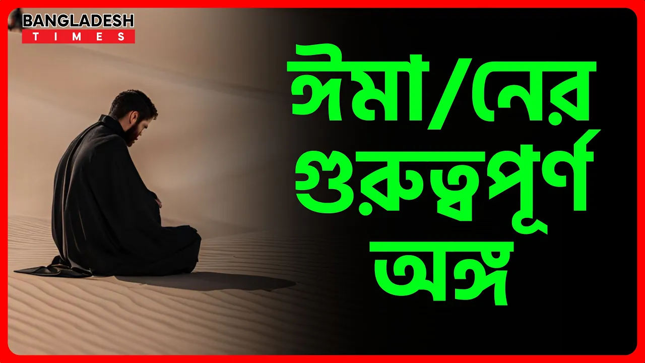 ঈমানের গুরুত্বপূর্ণ অঙ্গ | ইসলামিক জ্ঞান