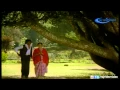 Download Lagu Senorita HD Song