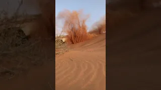ترهيم عيال القصيم  ترهيم عيال القصيم