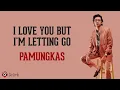 I Love You But I'm Letting Go - Pamungkas 🇮🇩🇮🇩 (Lyrics video dan terjemahan)