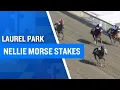 2026 100 000 Nellie Morse Stakes at Laurel Park