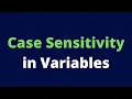 Case sensitivity in Variables Javascript