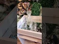 Vídeo do produto