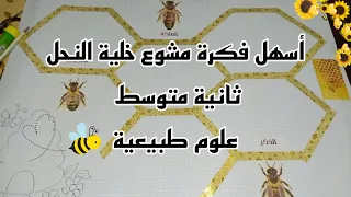 مشروع خلية النحل ثانية متوسط علوم طبيعية الفصل الاول فكرة بسيط و سهلة لمشروع خلية النحل 2 متوسط 