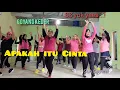 DJ Apakah itu CINTA,safira inema,Senam kreasi Sun Cayanx Aerobic