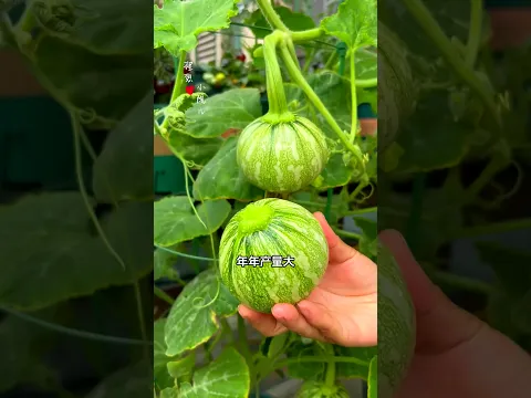 For vegetables to grow well, remember the importance of crop rotation and
