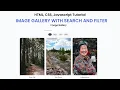 Create a Filterable Image Gallery with Search HTML CSS JavaScript Tutorial