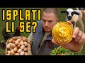 Lagu Kolika je realna zarada od životinja na selu? 🐐🐑 Pravi primeri i brojke