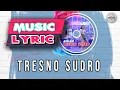 Download Lagu Syahiba Saufa - Tresno Sudro (Official Lirik)