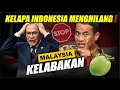 🔴 MALAYSIA PANIK! KELAPA INDONESIA MENGHILANG!