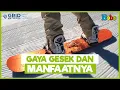 Fakta Menarik - Apa Itu Gaya Gesek Dan Manfaat Untuk Kehidupan Sehari-Hari?