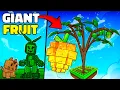 Download Lagu I Tested Green Bean + Tabby Cat Method to Make JUMBO Plants
