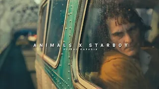 Download Animals x Starboy | Full Version | Aviral Kapasia | Slowed+Reverb MP3