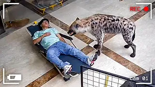 90 MOMENTOS INCRÍVEIS GRAVADOS PELAS CÂMERAS DE VIGILÂNCIA