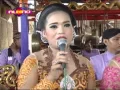Download Lagu PANGKUR LOMBO lajeng BLANDONG CINDE LARAS