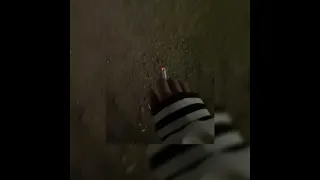 حبيبي دمعتي بعيني مسرع 