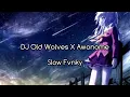 DJ Old Wolves X Awoneme Slow Fvnky