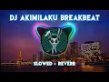 Download Lagu DJ AKIMILAKU BREAKBEAT (Slowed + Reverb)