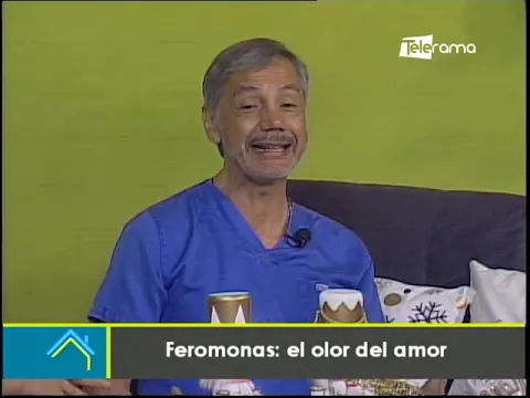 Feromonas: El olor del amor