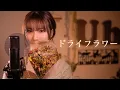 Download Lagu 【女性が歌う】優里 『ドライフラワー』 cover by Uh.