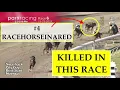 Death race of RACEHORSEINARED Parx 11 23 21