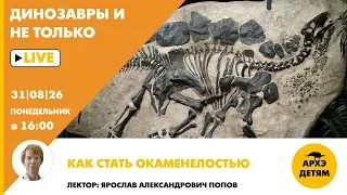Занятие «Как стать окаменелостью» рубрики "Динозавры и не только" с Ярославом Поповым