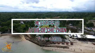 Download 离别的车站 ( Li Bie De Che Zhan  ) Female Version - Karaoke mandarin with drone view MP3