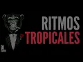 Conmigo te gusto - Grupo Trinidad