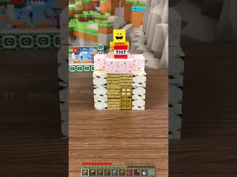 Magnetic Minecraft #minecraft #verity