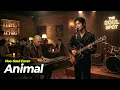 Animal - NOWIMYOUNG (나우아임영) (네오소울 버전)