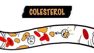 Colesterol Bom, Colesterol Ruim... O Que Isso Quer Dizer? | Autoridade Fitness