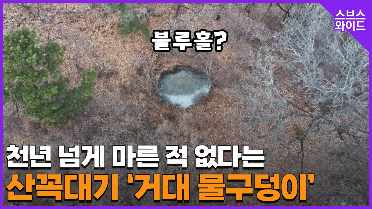 관련 영상 썸네일