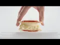 Carl s Jr Strawberry Poptart Ice Cream Sandwich commercial
