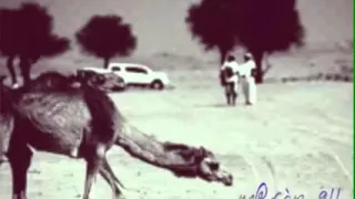فووغل  يارفيقي ليش تزعل دندنها