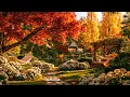 Relaxing Autumn Piano Music 🍂 Peaceful Cottage Garden Melodies for Deep Focus & Reading