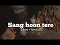 Lagu Sang hoon tere ( slowed + reverb ) || sang hoon tere lofi || Nikhil D'souza || @sriaesthetic6696