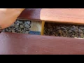 Menards ultra deck overview and installation guide