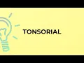 What is the meaning of the word TONSORIAL