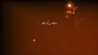 تامر عاشور مرايه الحب  دندنها