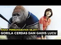 Download Lagu AWALNYA DIKIRA GORILA BIASA TERNYATA DIA ADALAH ATLIT HEBAT KOREA | ALUR CERITA FILM MR. GO (2013)