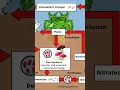 cycle diagram nitrogen nitrogen gas