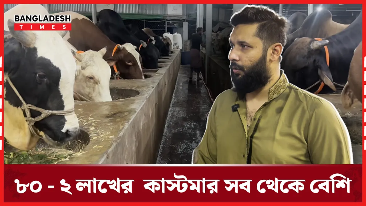 কুরবানীর এক মাস আগেই ৩৫ % গরু বিক্রি শেষ