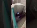 Download Lagu Guy Jumps Over Toilet With A Person Inside 🤣