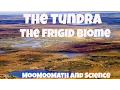 The Tundra Biome Facts