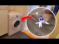 Download Lagu Rabbert goes in the washing machine